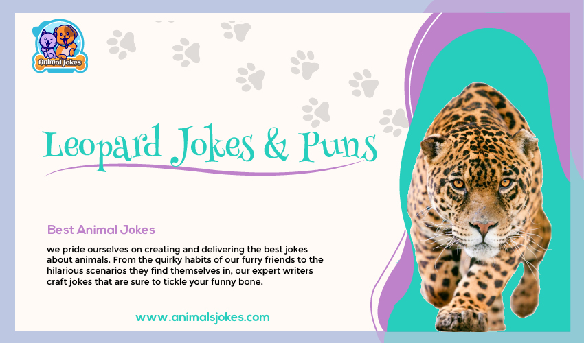 Best Jokes About Leopards