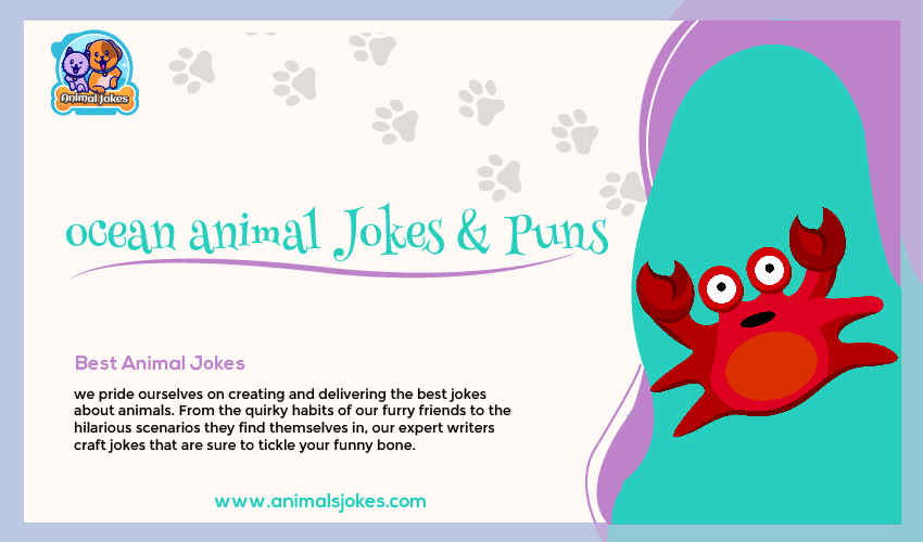 Best Jokes About Ocean Animals