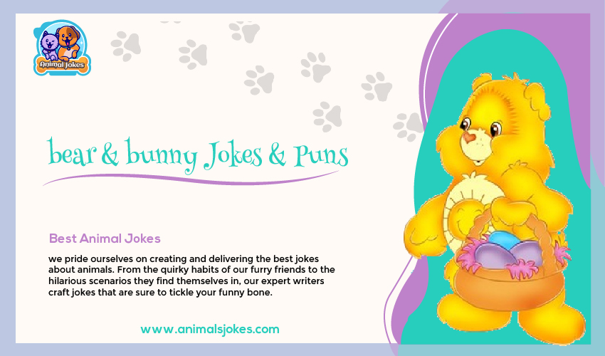 Best Jokes about Bear and Bunny