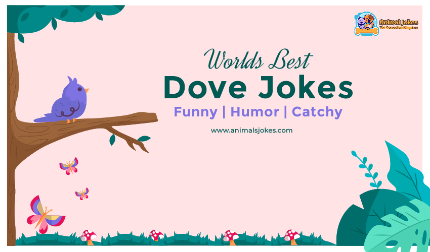 Best Jokes about Dove