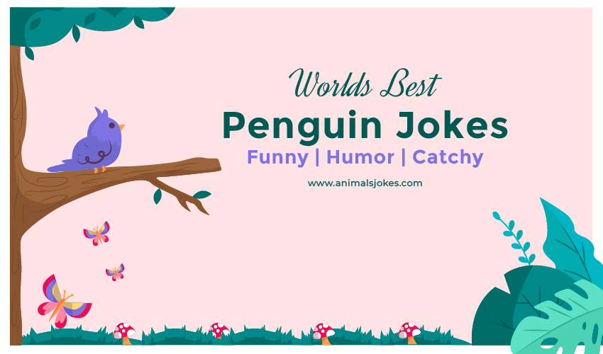 Best Jokes about Pigeon
