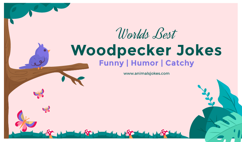 Best Jokes about Woodpecker