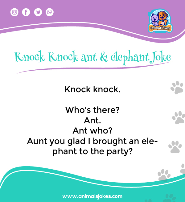 Best Knock Knock Jokes about Ant and Elephant