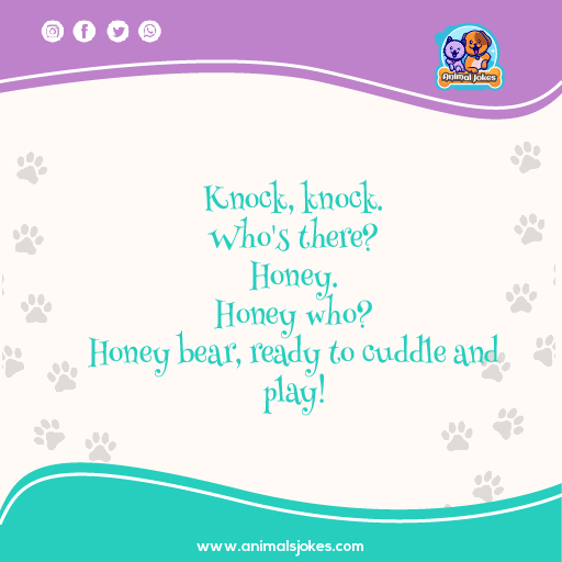 Best Knock Knock Jokes about Teddy Bear