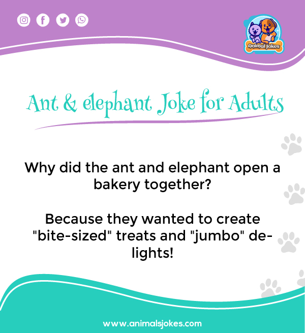 Cute Ice Breaker Jokes about Ant and Elephant