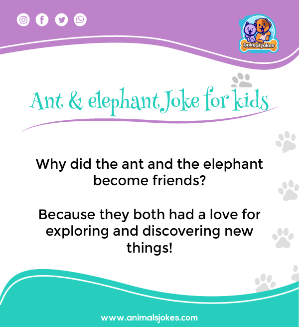 Fun Ant and Elephant Jokes Story