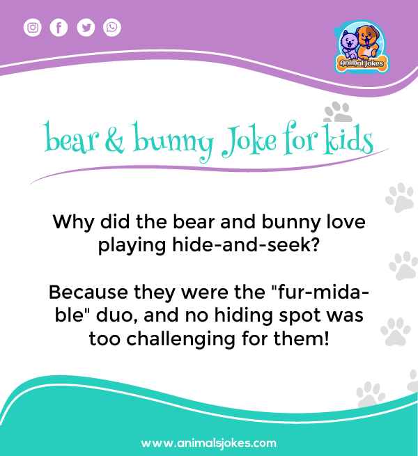 Fun Bear and Bunny Story Jokes