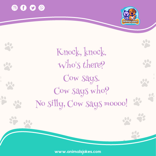 Funny Animal Knock Knock Jokes For Adults