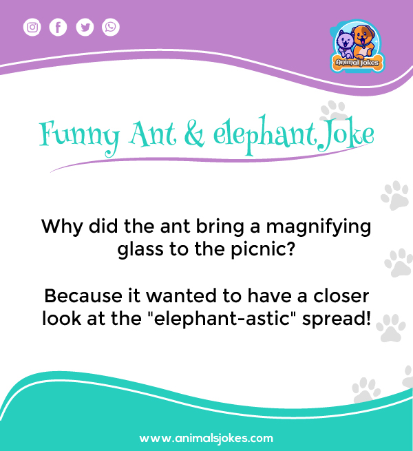 Funny Jokes about Ant and Elephant for Adults