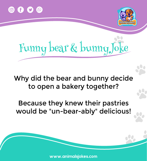 Funny Jokes about Bear and Bunny for Adults