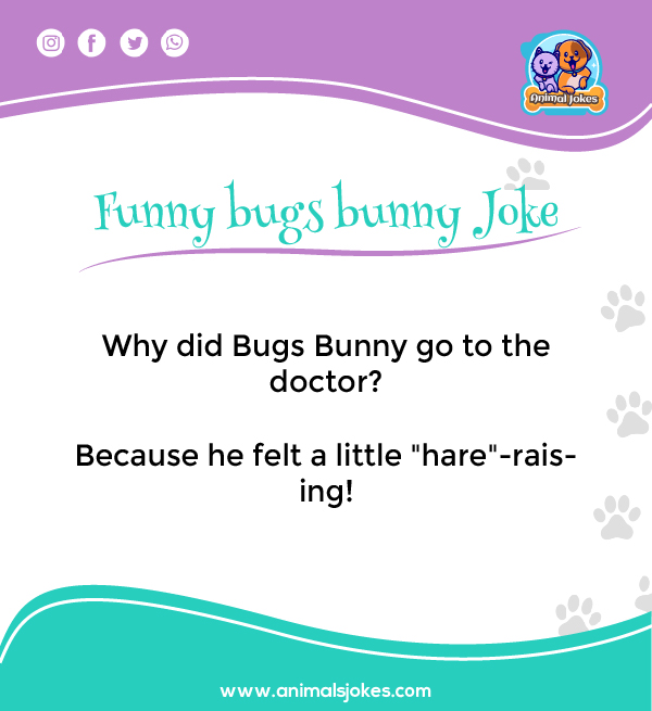 Funny Jokes about Bugs Bunny For Adults